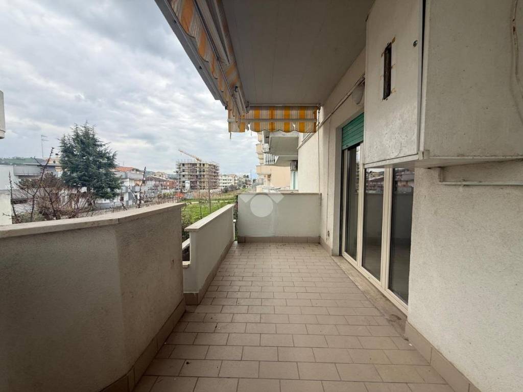 immagine annuncio 6 di 12