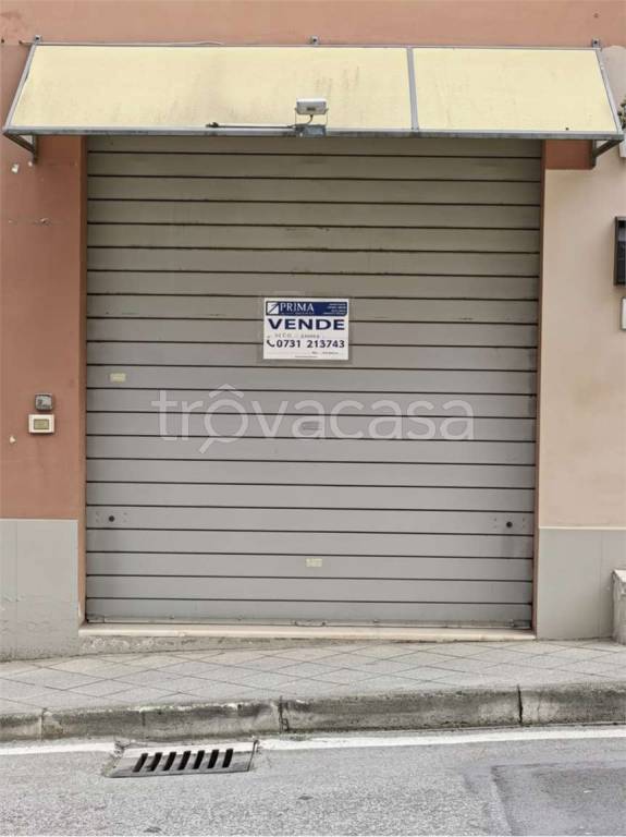 immagine annuncio 11 di 14