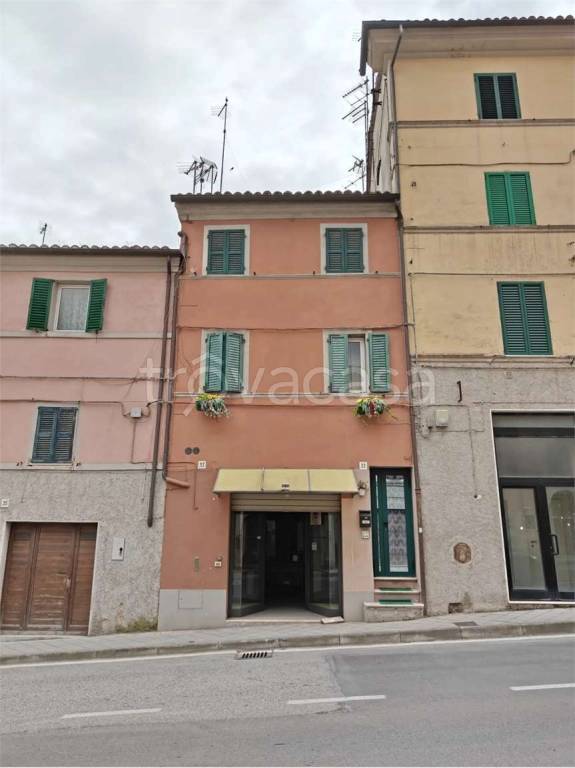 immagine annuncio 12 di 14