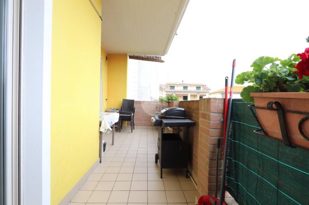 immagine annuncio 9 di 15