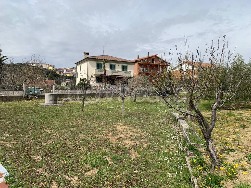 immagine annuncio 2 di 6
