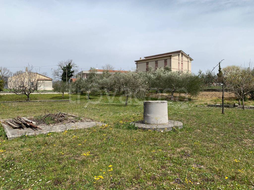 immagine annuncio 3 di 6