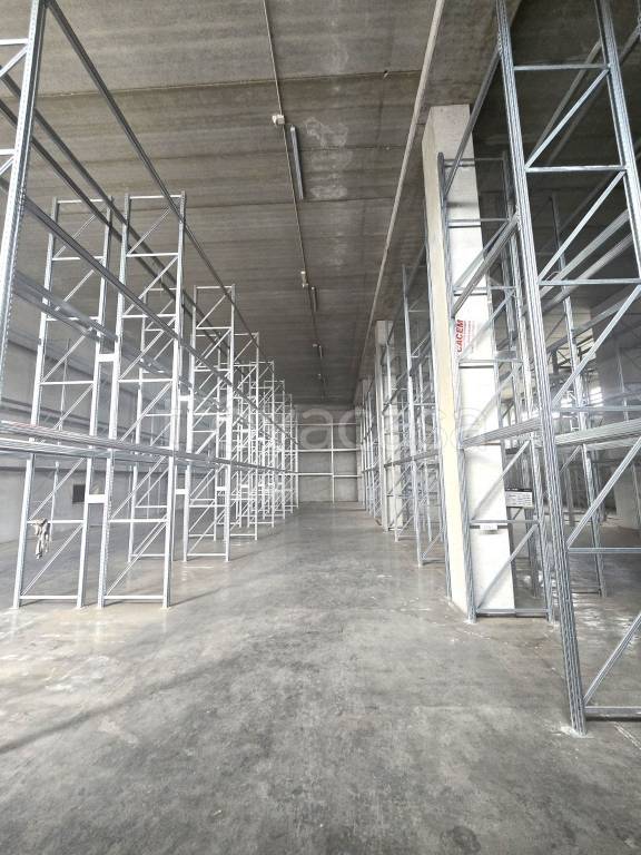 immagine annuncio 2 di 6