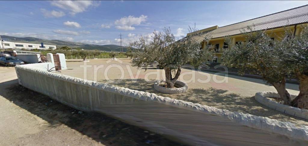 immagine annuncio 3 di 14