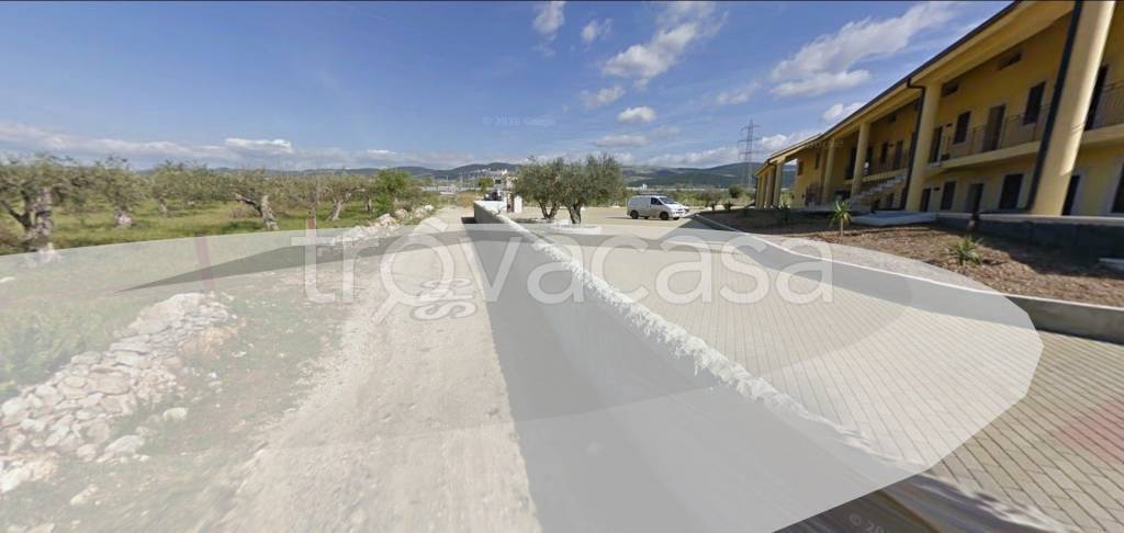 immagine annuncio 4 di 14