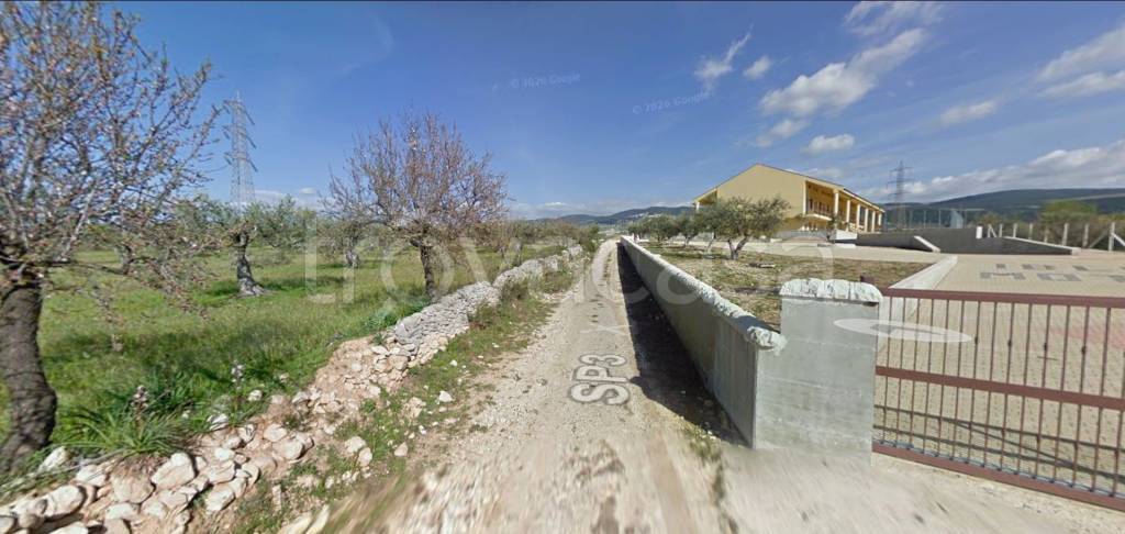 immagine annuncio 5 di 14