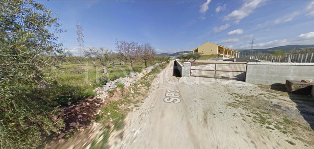 immagine annuncio 6 di 14