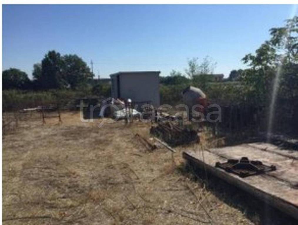 immagine annuncio 4 di 11