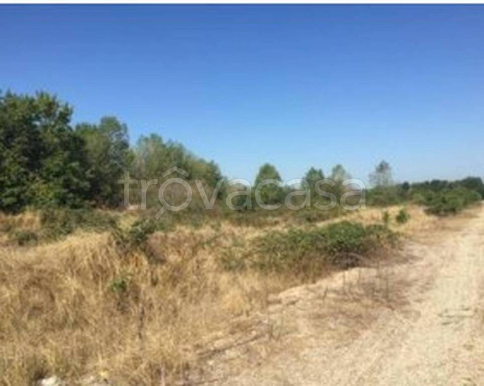 immagine annuncio 5 di 11