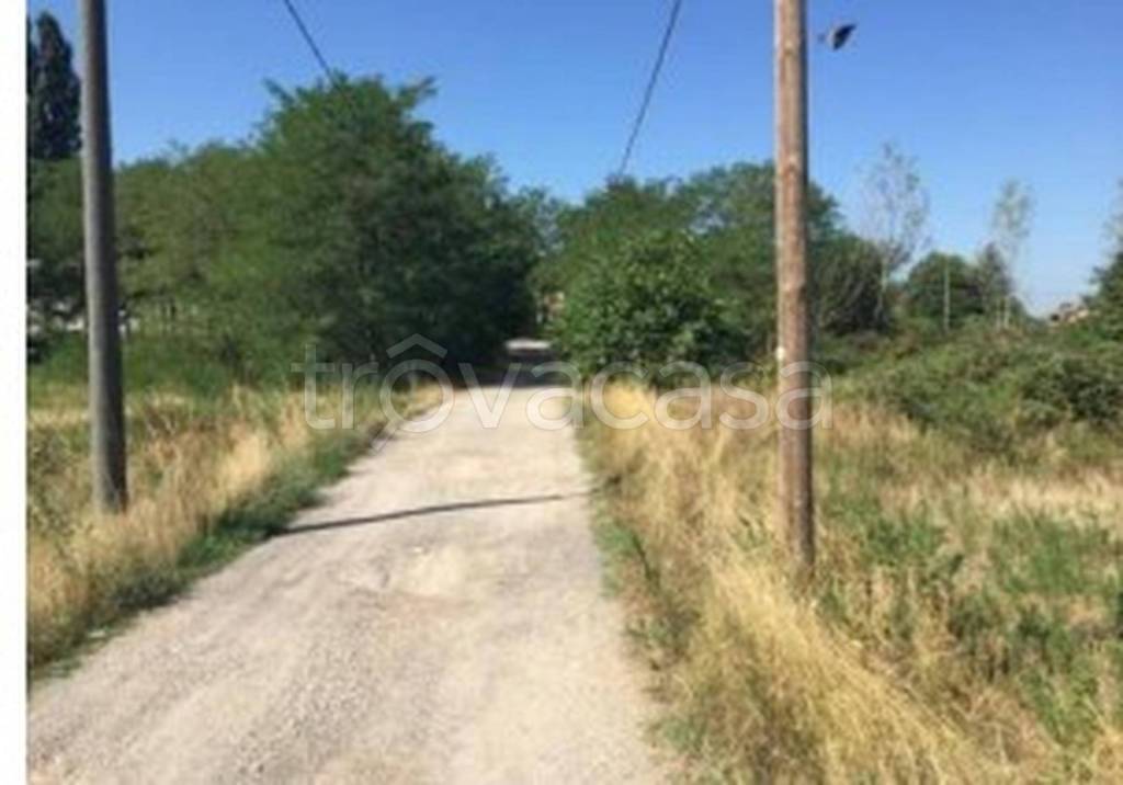 immagine annuncio 7 di 11