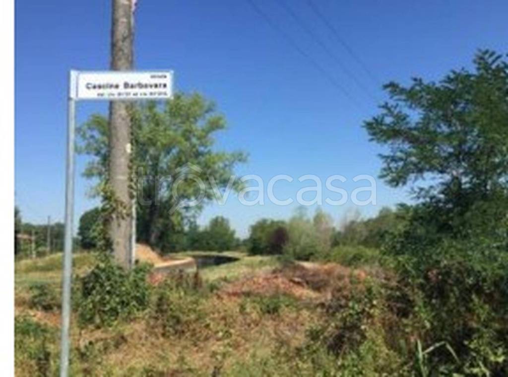 immagine annuncio 8 di 11