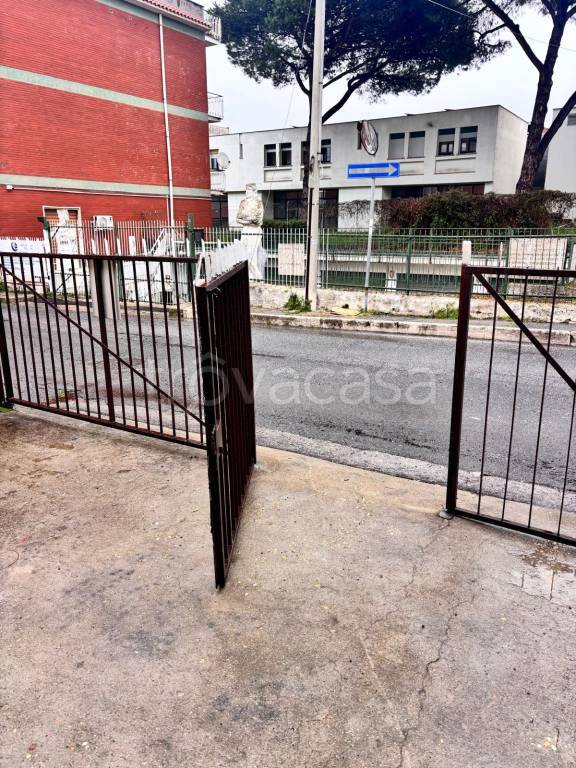 immagine annuncio 9 di 12