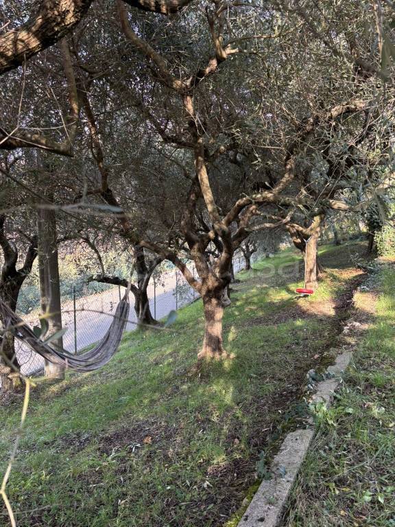 immagine annuncio 10 di 12