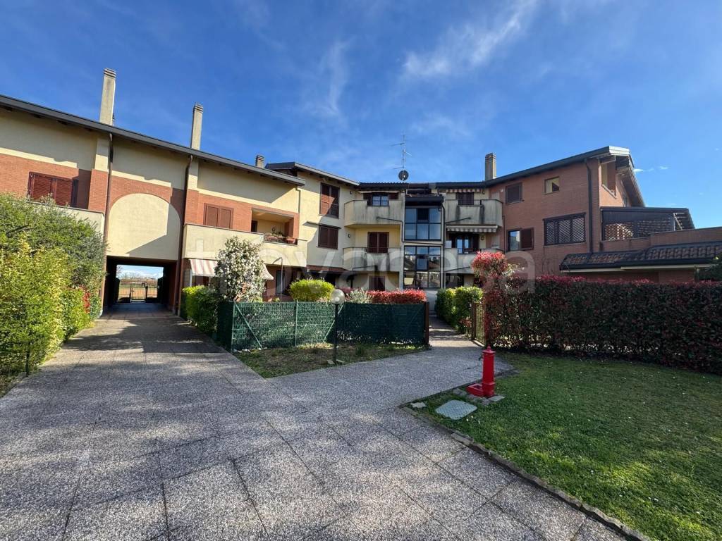 immagine annuncio 2 di 11