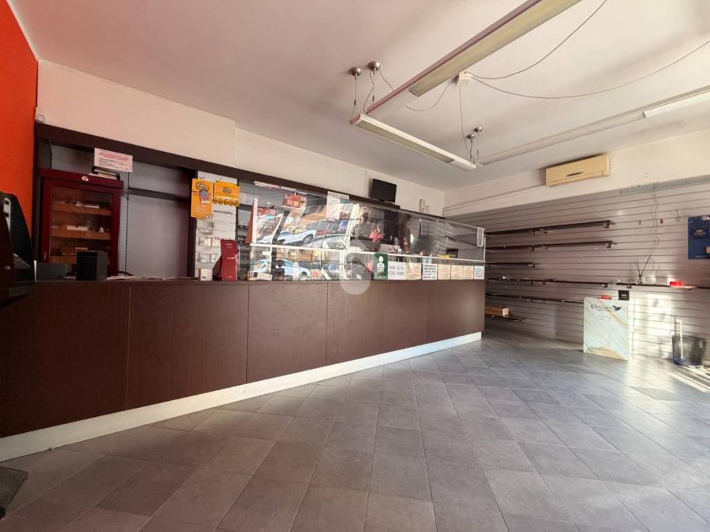 immagine annuncio 2 di 14