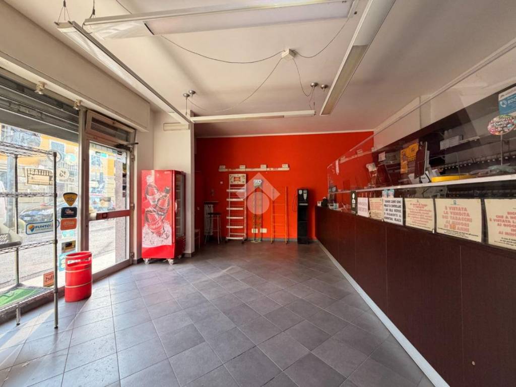 immagine annuncio 3 di 14