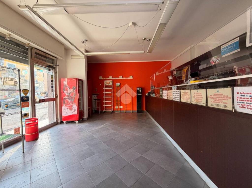 immagine annuncio 5 di 14