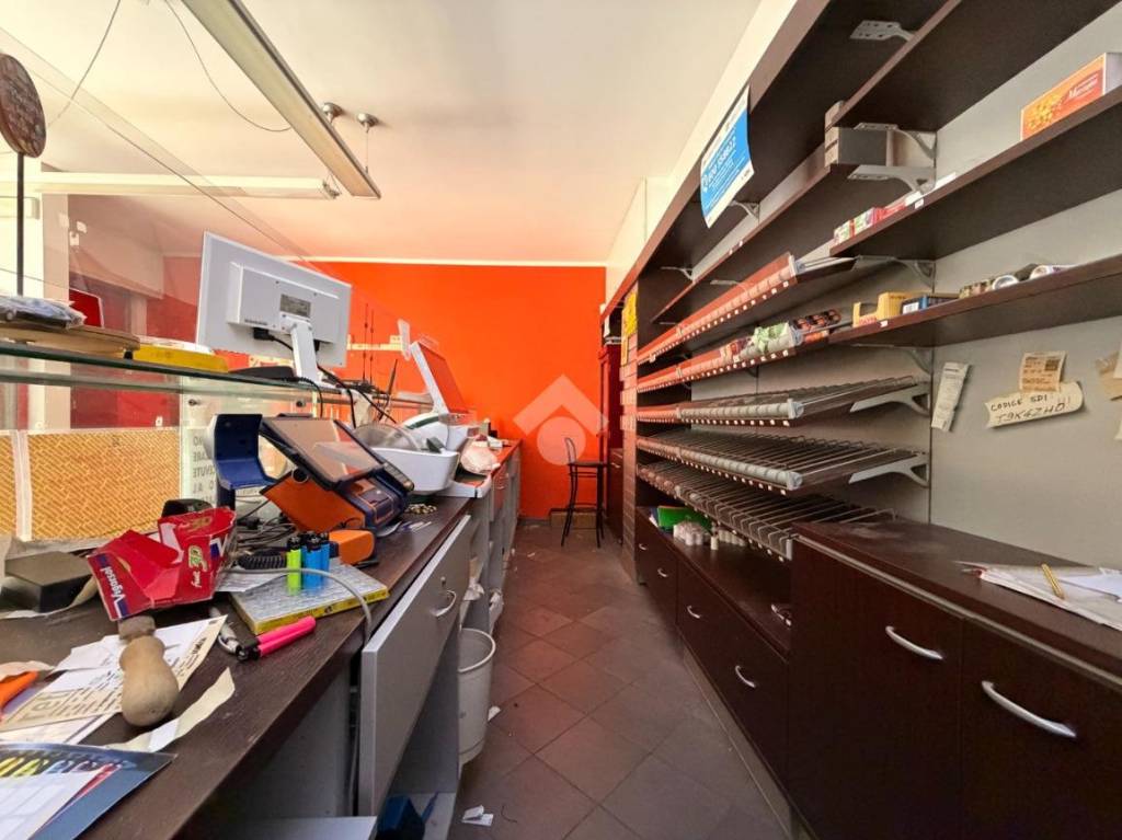 immagine annuncio 6 di 14