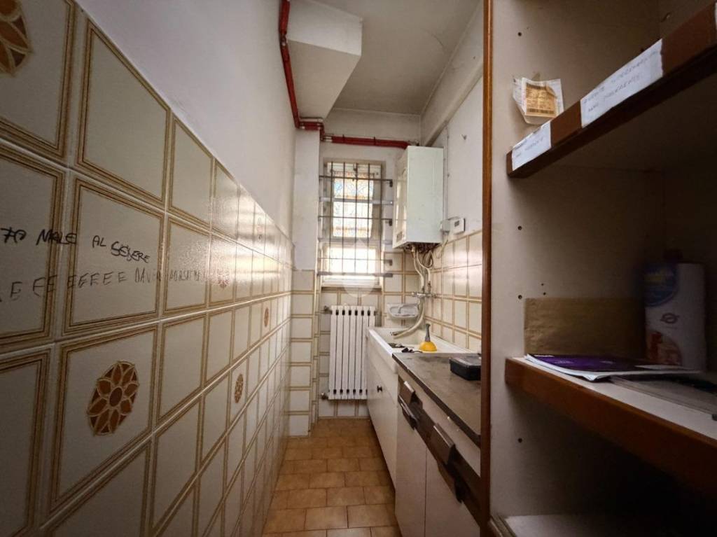 immagine annuncio 11 di 14