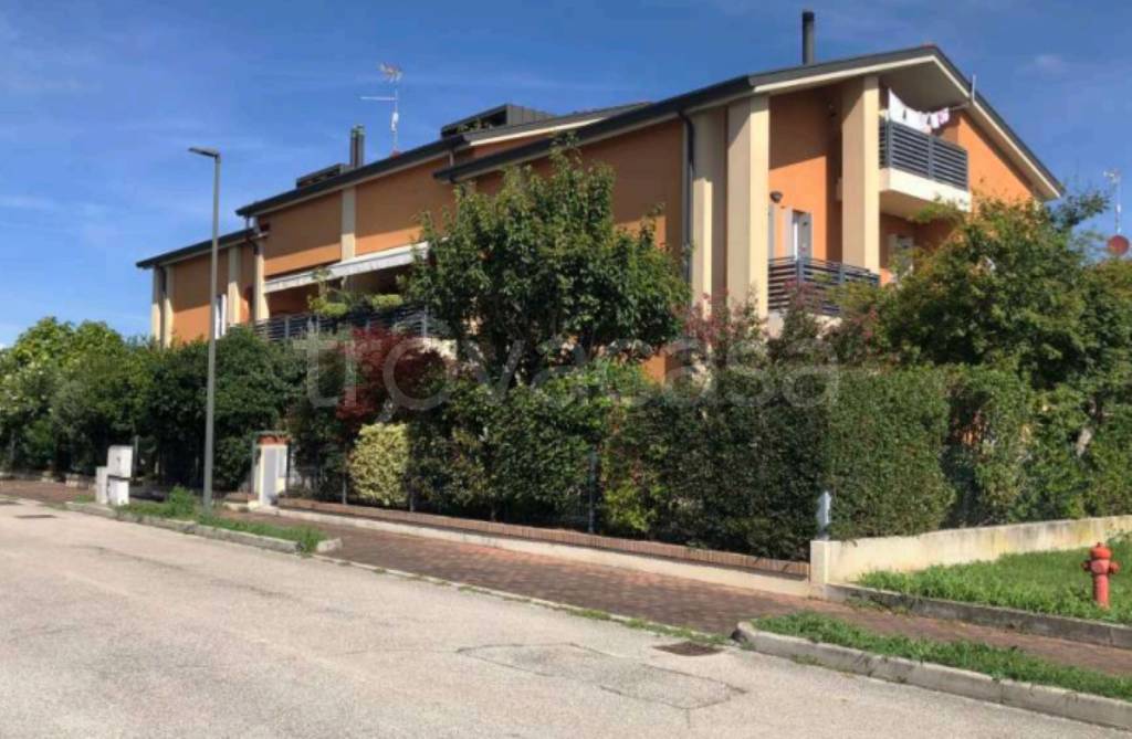 immagine annuncio 3 di 11