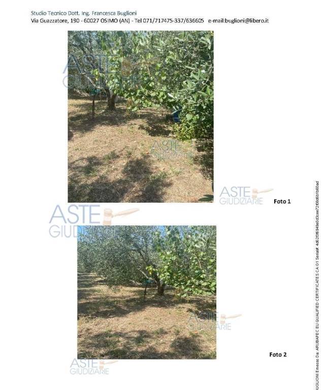 immagine annuncio 14 di 15