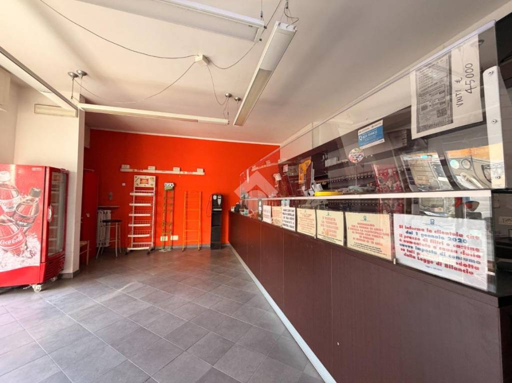 immagine annuncio 2 di 14