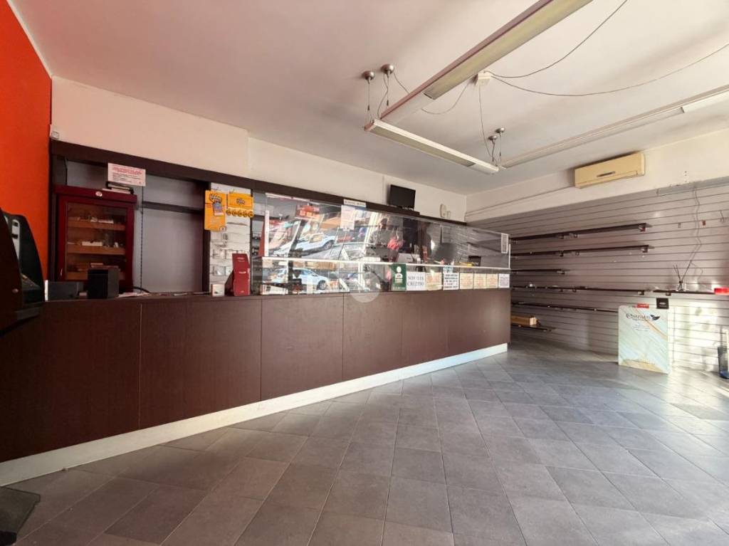 immagine annuncio 3 di 14