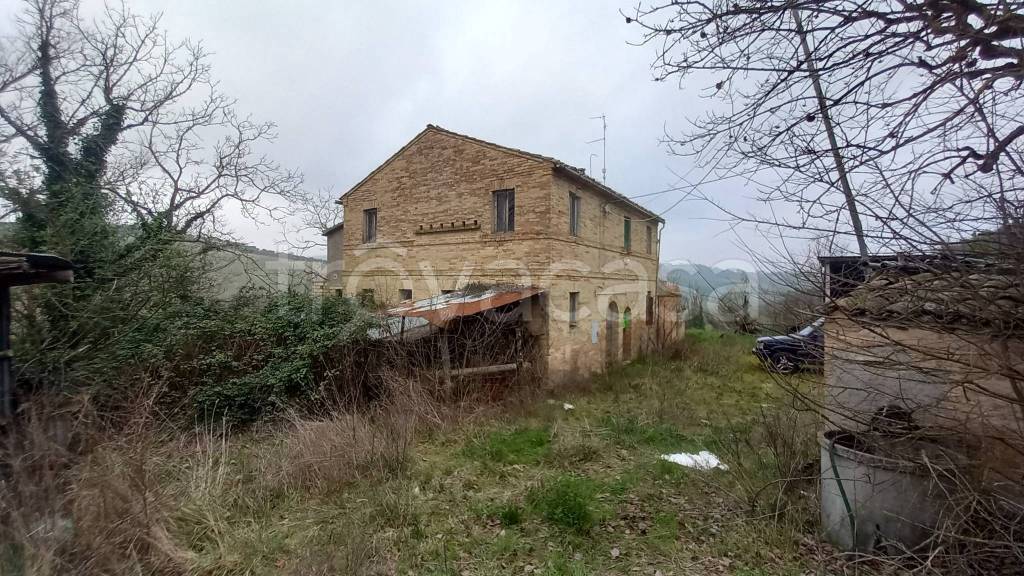 immagine annuncio 3 di 8
