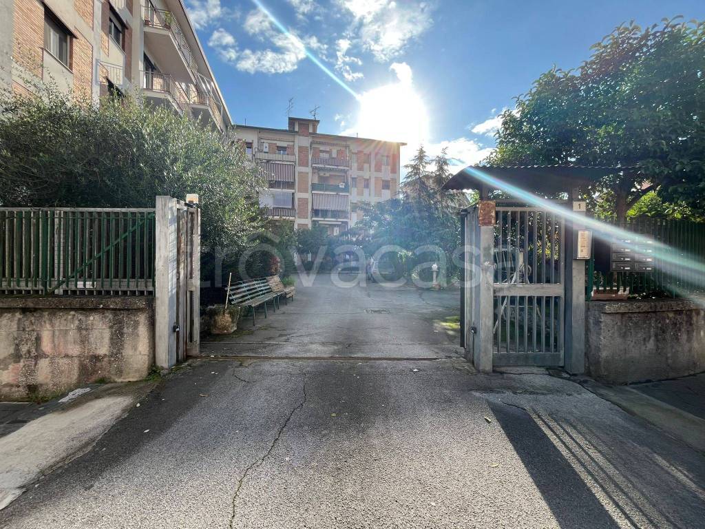 immagine annuncio 1 di 14