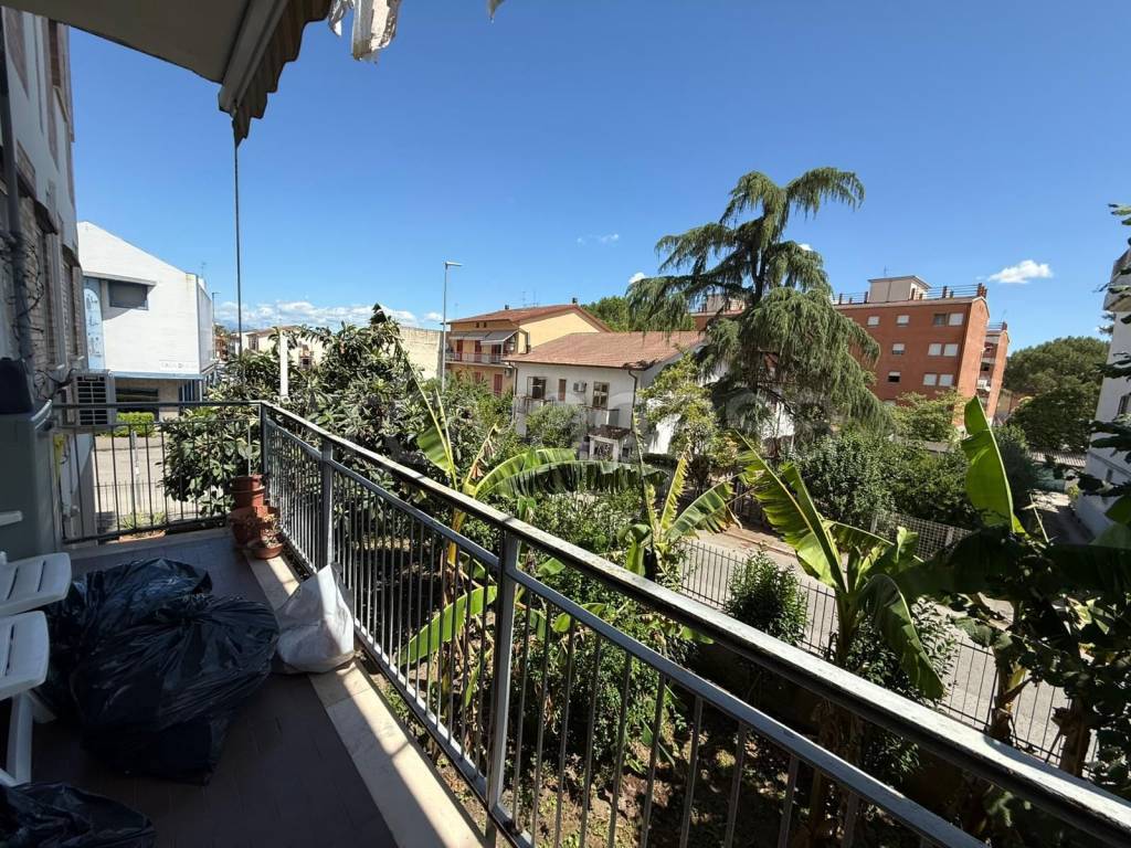 immagine annuncio 7 di 14