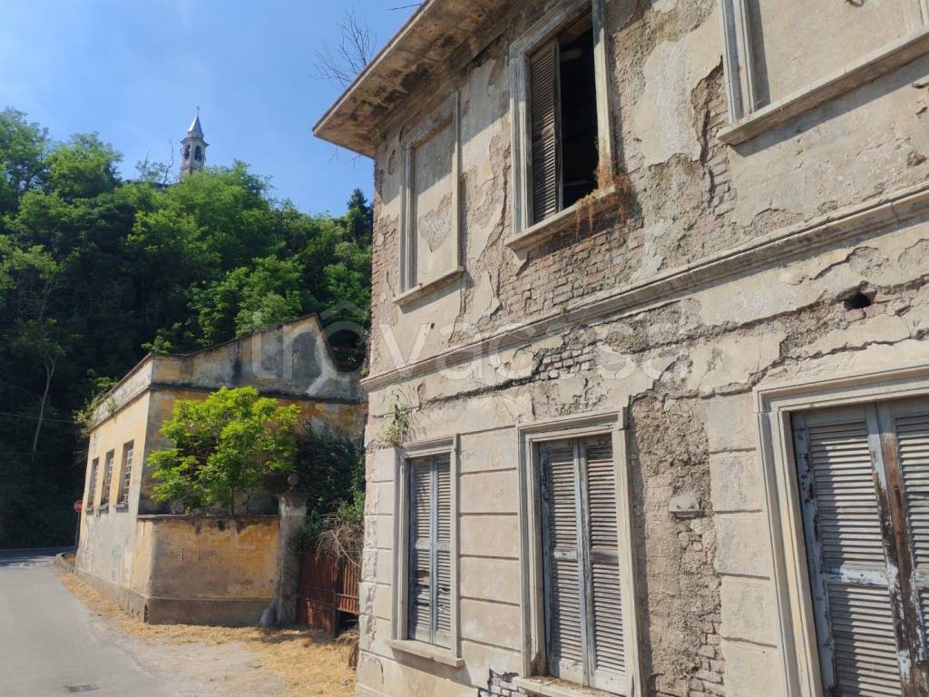 immagine annuncio 3 di 12