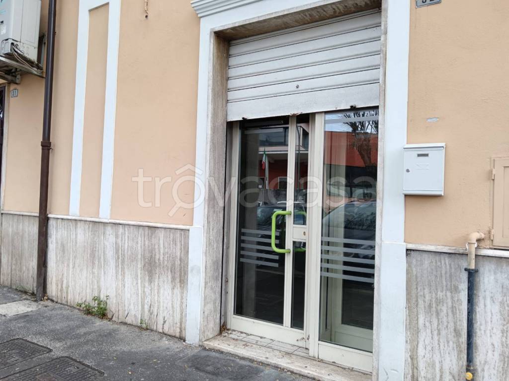 immagine annuncio 4 di 6