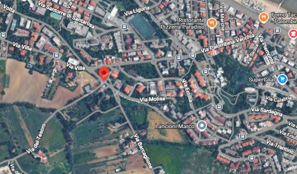 immagine annuncio 9 di 10