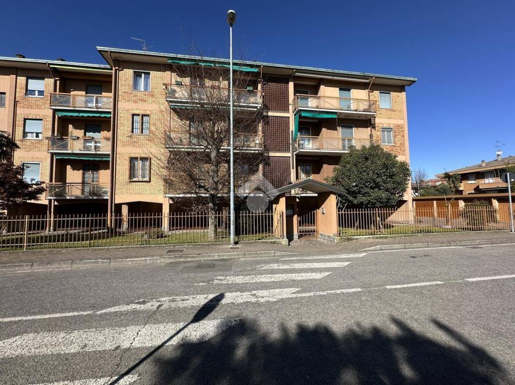 immagine annuncio 1 di 15