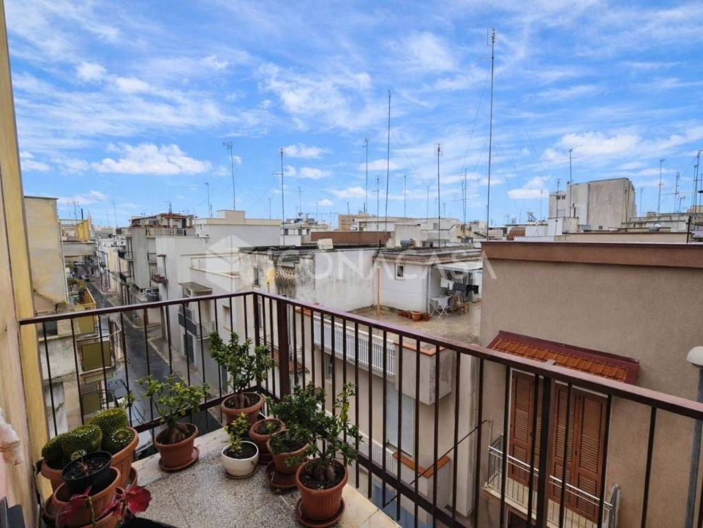 immagine annuncio 10 di 14