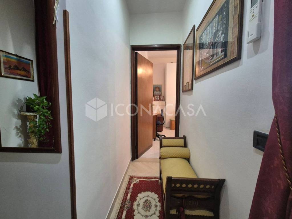 immagine annuncio 7 di 14