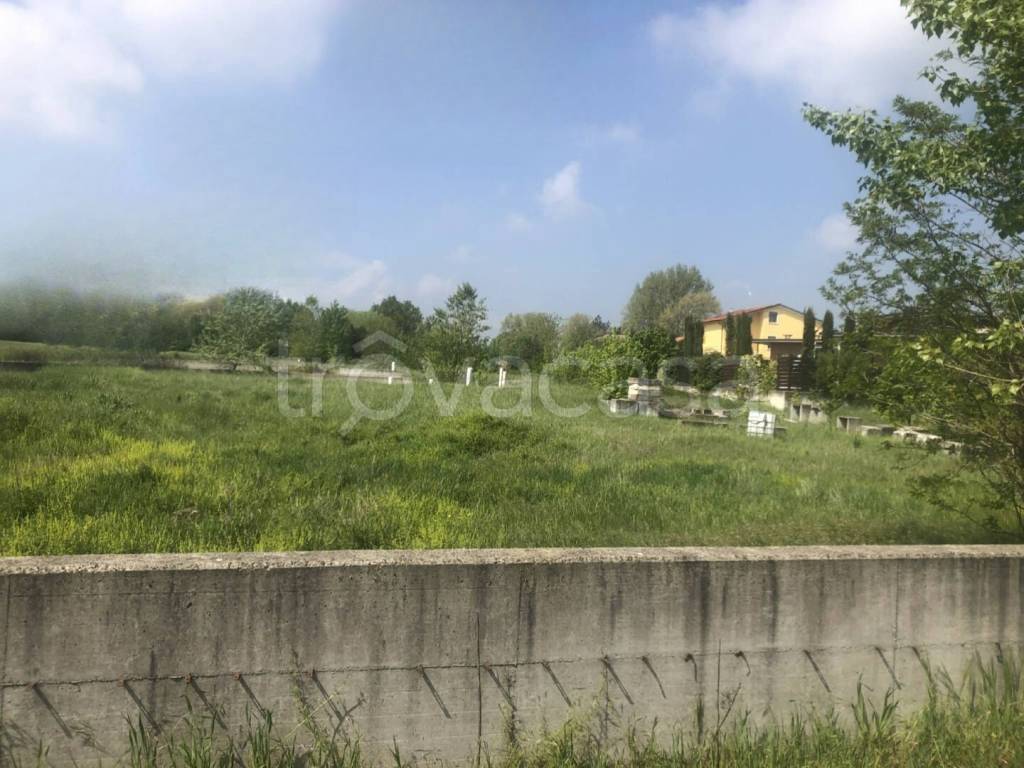 immagine annuncio 2 di 11