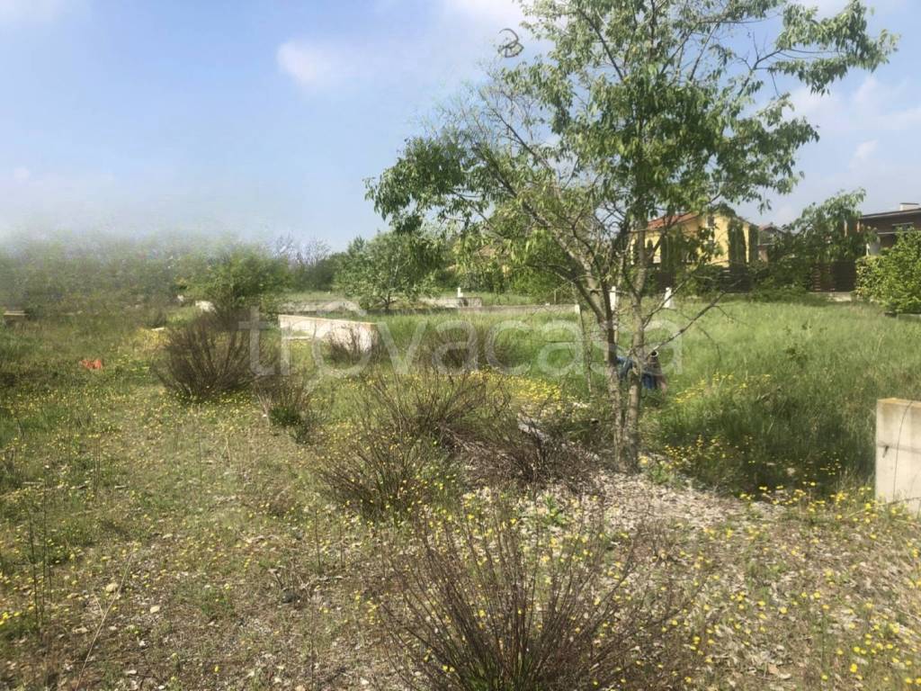 immagine annuncio 3 di 11