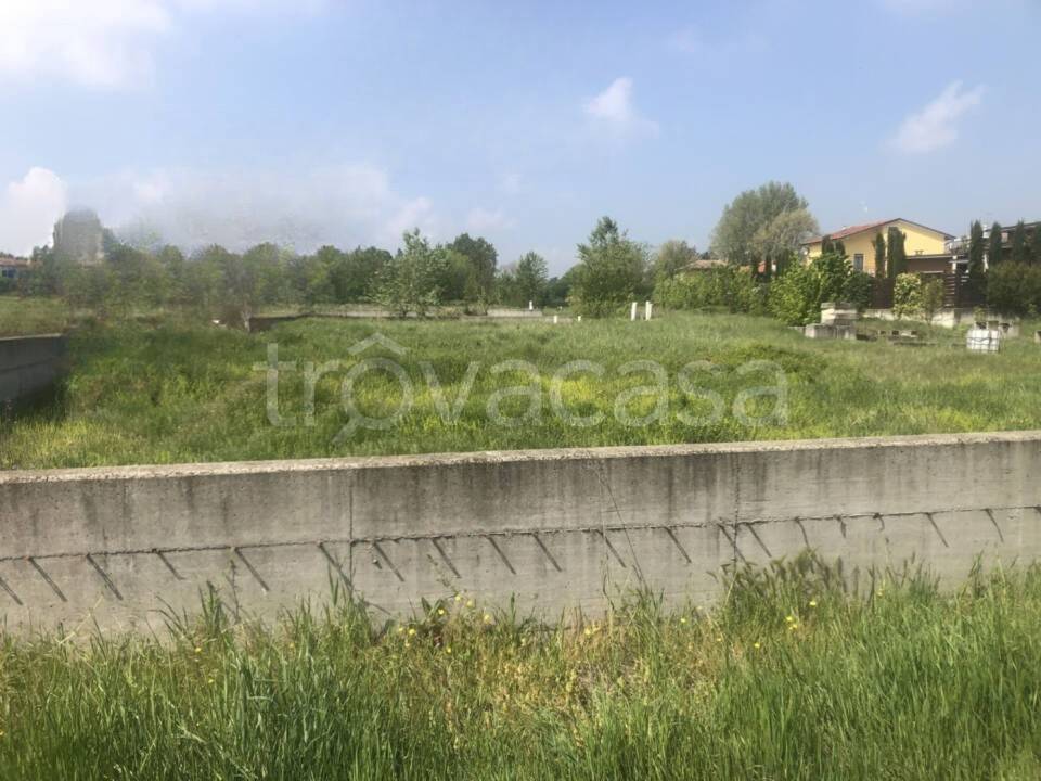 immagine annuncio 6 di 11