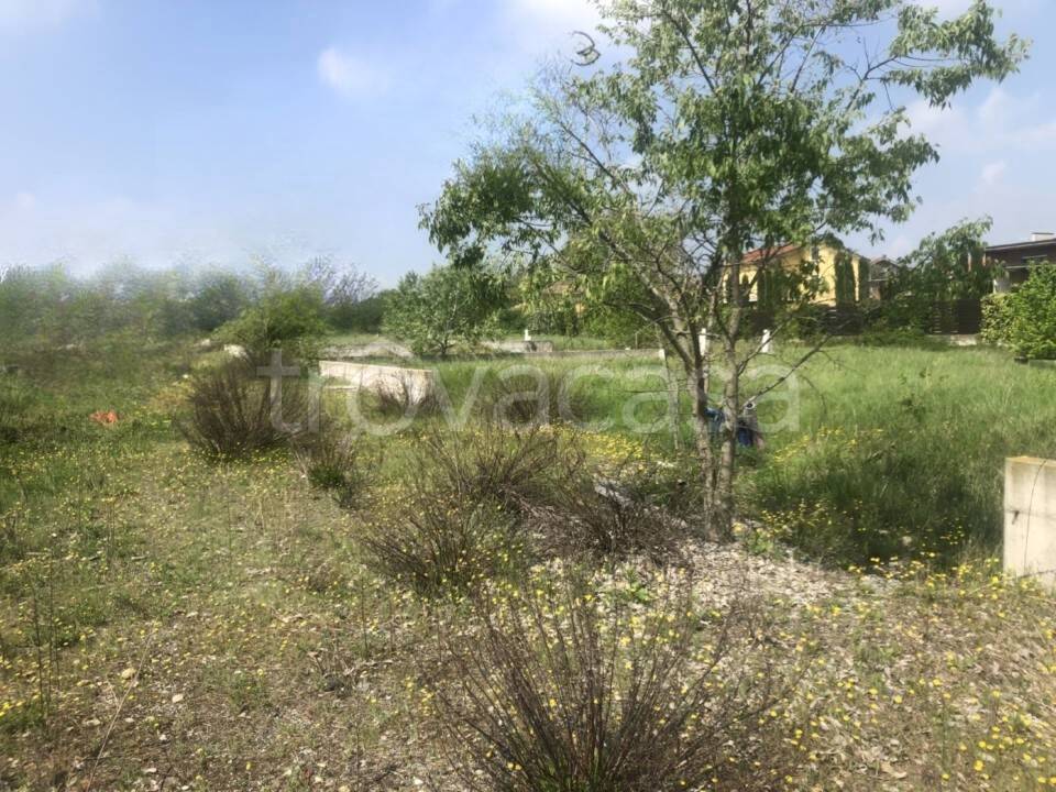 immagine annuncio 8 di 11