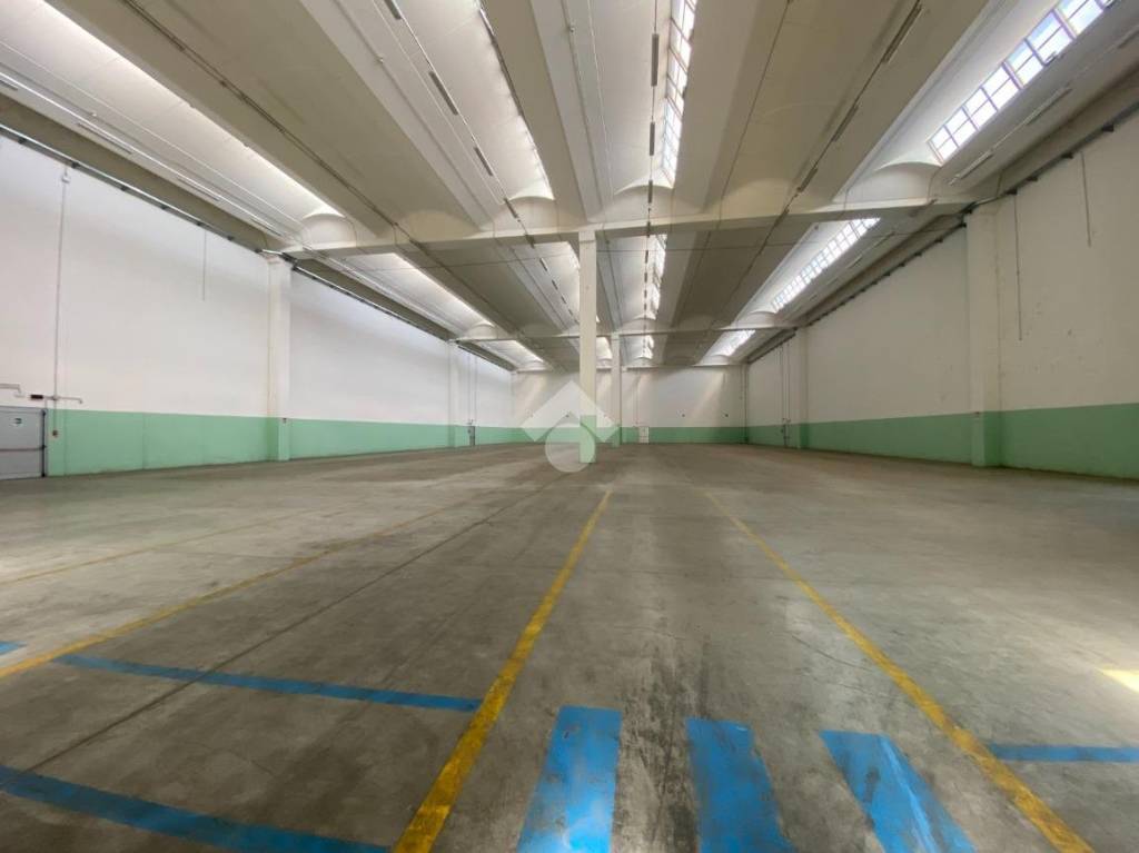 immagine annuncio 1 di 12