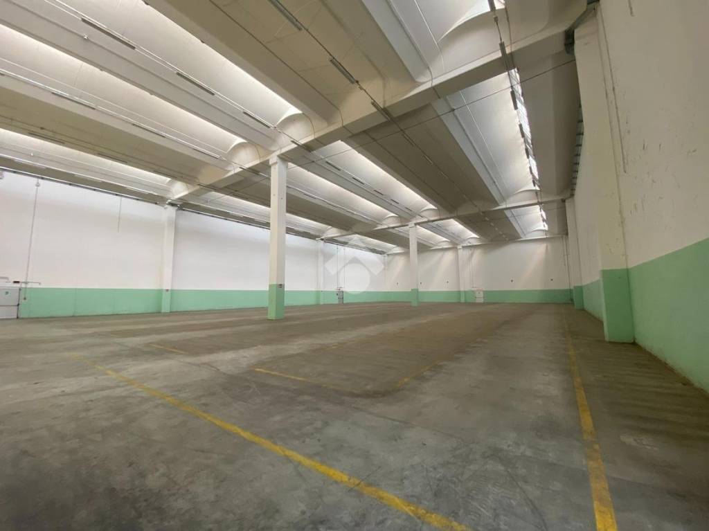 immagine annuncio 2 di 12