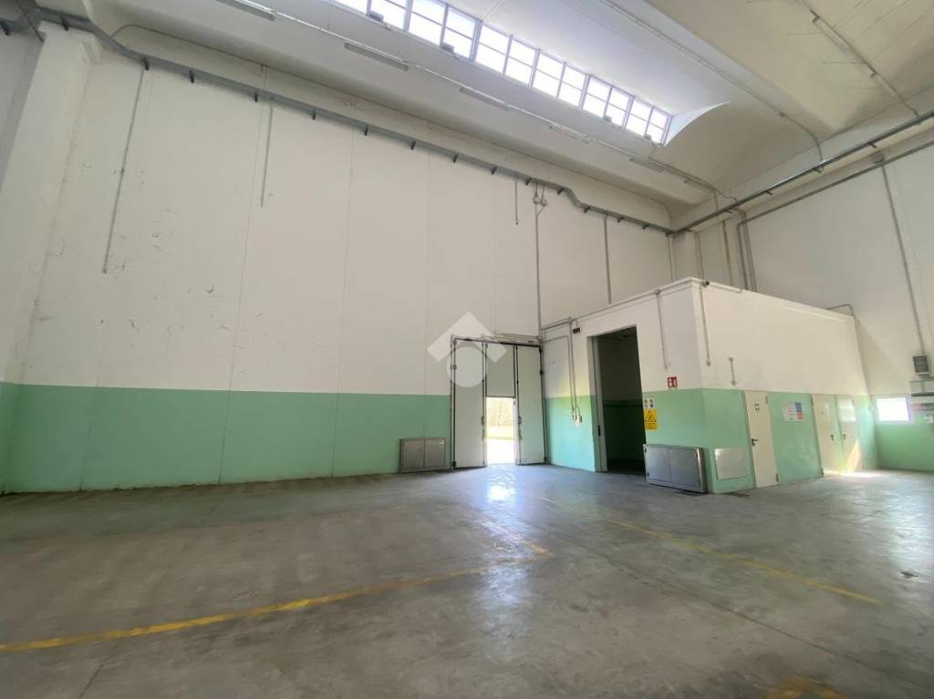 immagine annuncio 6 di 12