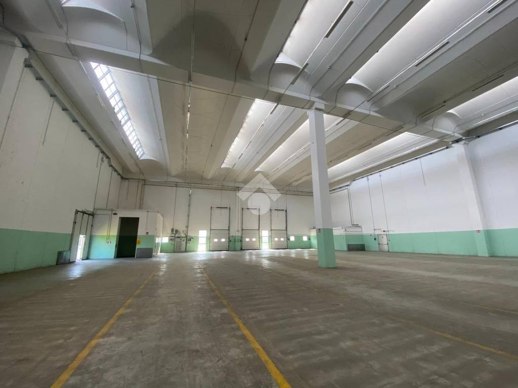 immagine annuncio 7 di 12