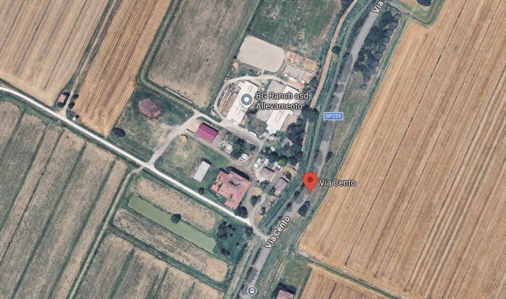 immagine annuncio 1 di 10