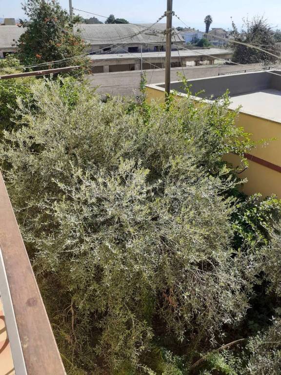 immagine annuncio 10 di 14