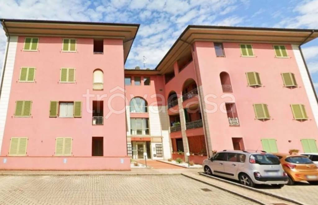 immagine annuncio 9 di 11