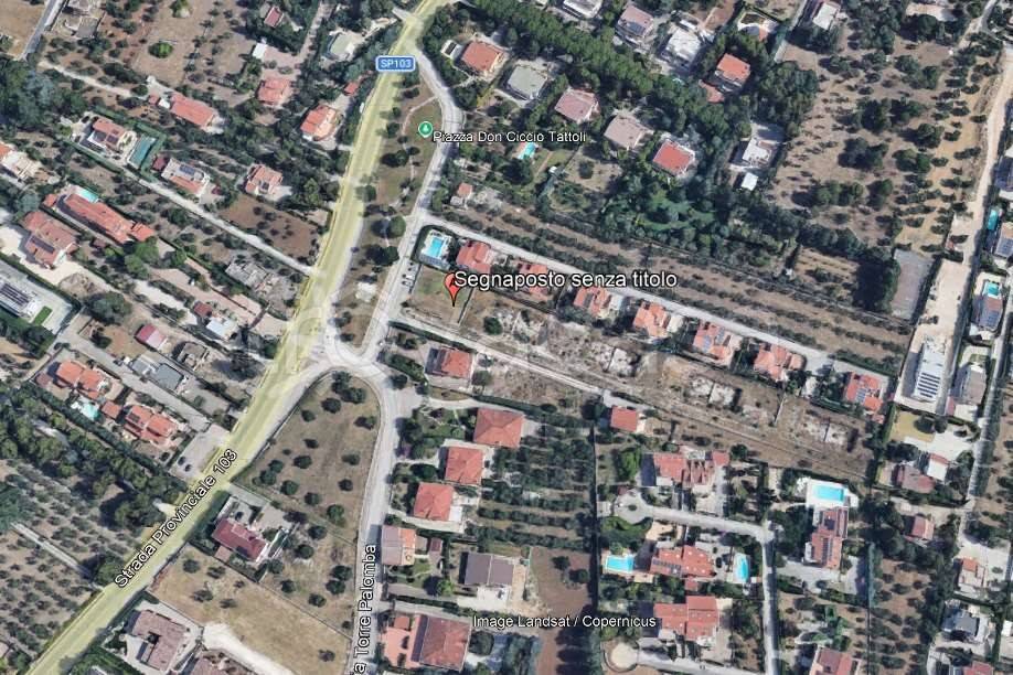 immagine annuncio 6 di 14