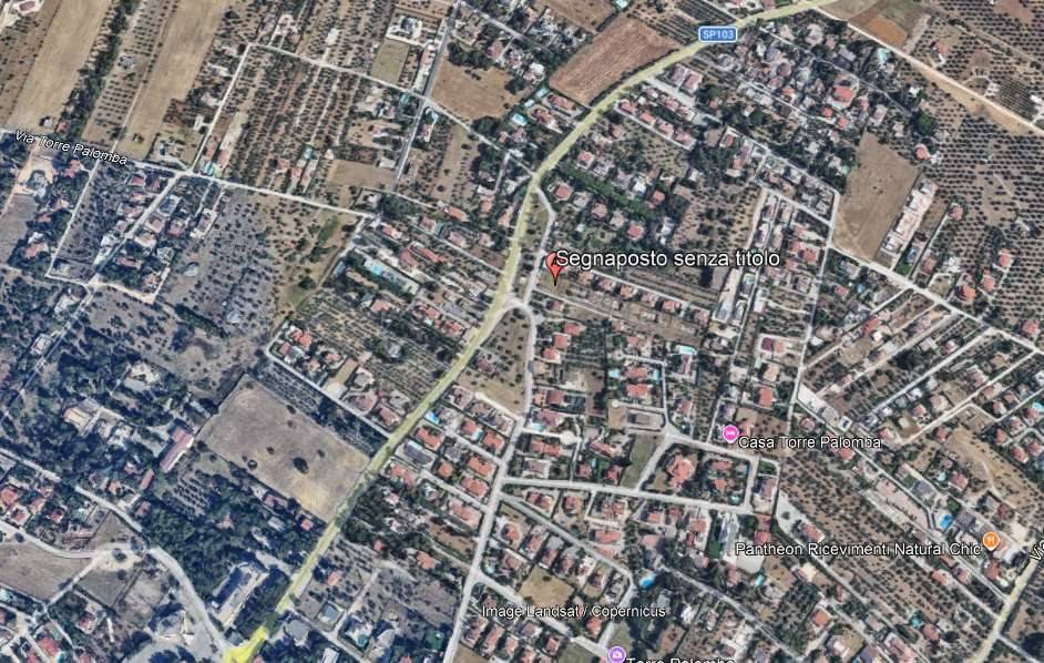 immagine annuncio 7 di 14