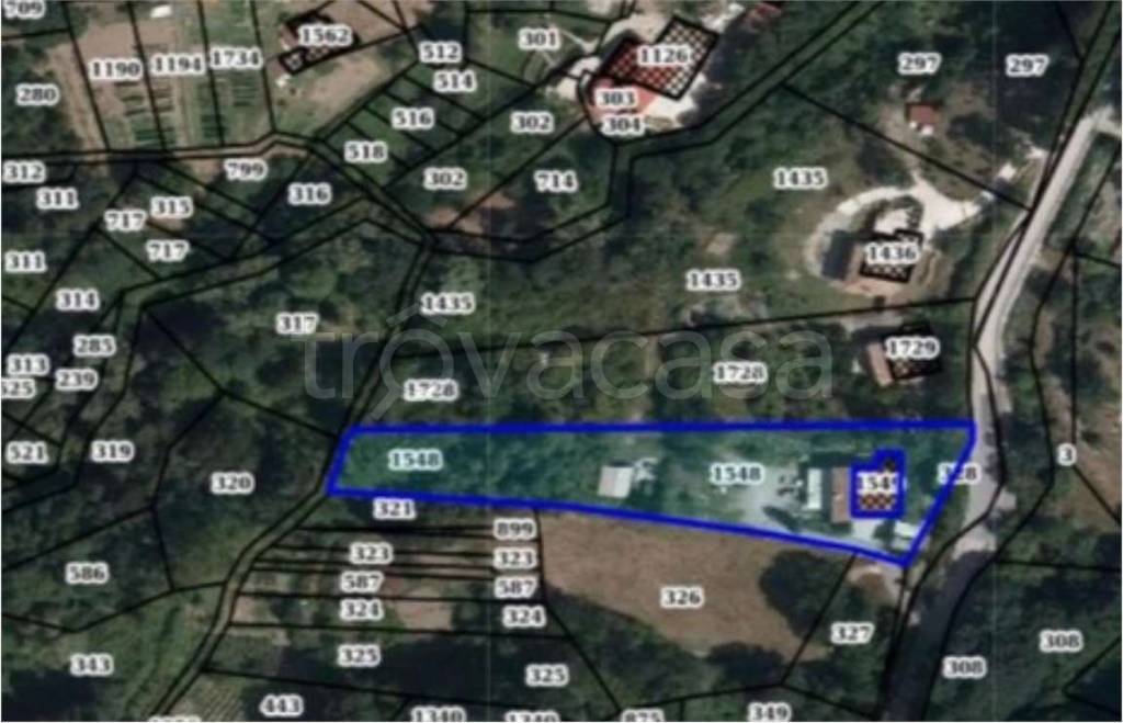 immagine annuncio 6 di 14